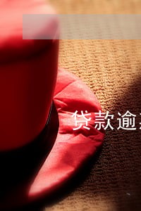 贷款逾期 不良率分析 贷款逾期 不良率分析
